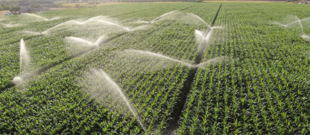 field being irrigated